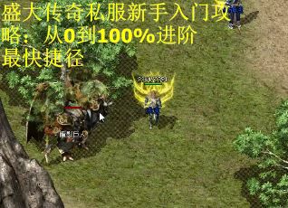 盛大传奇私服新手入门攻略：从0到100%进阶最快捷径