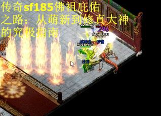 传奇sf185佛祖庇佑之路：从萌新到修真大神的究极指南