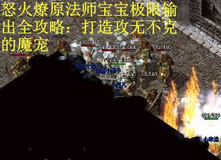 怒火燎原法师宝宝极限输出全攻略：打造攻无不克的魔宠